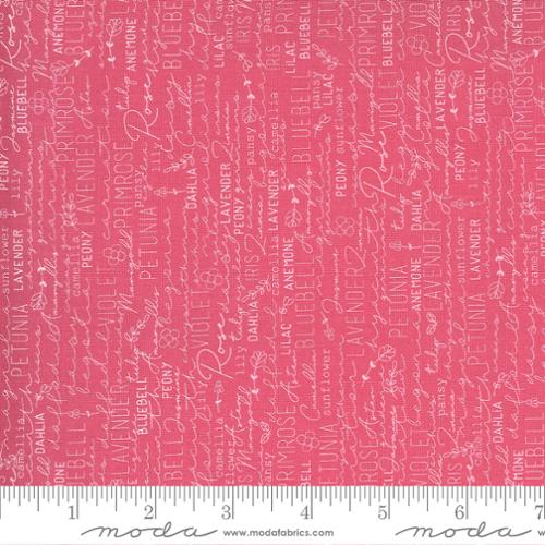 Pink 55520 Spring Chicken - Moda Sold By 1/4yd