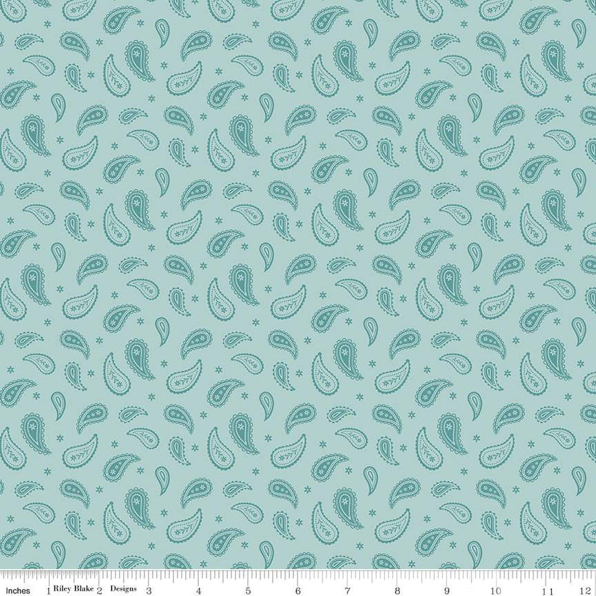 Ally's Garden Paisley Aqua by Riley Blake - Sold by the 1/4yd