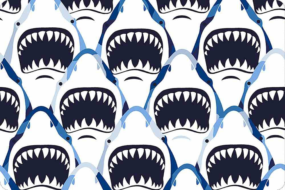 Open Wide Shark Cuddle – sold by ¼ yard